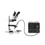 Phaser Mx2 microscopio 10 x